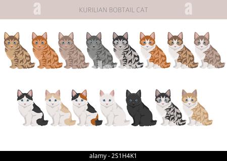 Clipart Kurilian Bobtail Cat. Toutes les couleurs de manteau sont définies. Infographie des caractéristiques de toutes les races de chats. Illustration vectorielle Illustration de Vecteur