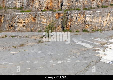 Véritables empreintes de dinosaures imprimées dans la roche, Ourém Portugal Banque D'Images