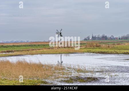 Magnifique réserve naturelle à Workum, Frise. avec beaucoup d'oiseaux. Banque D'Images