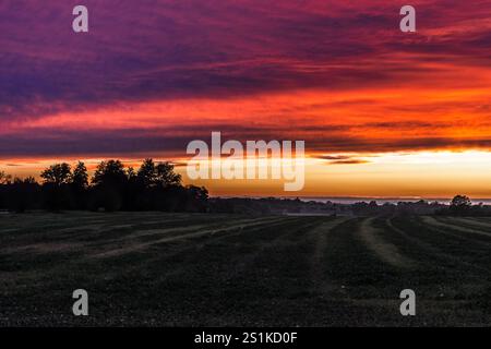 Ciel nocturne spectaculaire, rouge vif et violet au-dessus d'un champ, espace de copie Banque D'Images