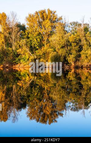 Lac avec beau reflet de la forêt d'automne, couleurs jaune et orange, verticale Banque D'Images
