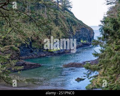 Dead Man's Cove au parc d'État Cape Disception, Ilwaco, Washington, États-Unis Banque D'Images