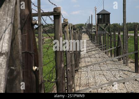 Lublin, Pologne. 3 août 2024. La zone de l'ancien camp de concentration de Lublin (Majdanek). L'ancien camp de concentration nazi allemand KL Lublin (Majdanek) et camp de prisonniers de guerre opérant dans les années 1941-1944. (Crédit image : © Damian Klamka/ZUMA Press Wire) USAGE ÉDITORIAL SEULEMENT! Non destiné à UN USAGE commercial ! Banque D'Images