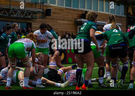 Londres, Royaume-Uni. 4 janvier 2025. Les Harlequins et la prostituée anglaise Connie Powell (numéro 2 blanc au sol) s'essaye lors de la victoire de son équipe sur Ealing Trailfinders au Trailfinders Sports Club de Londres. Crédit : Alex Williams/Alamy Live News Banque D'Images