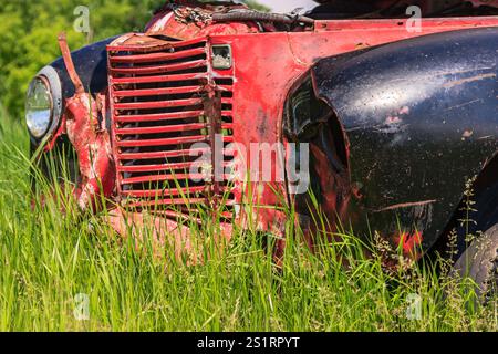 Une vieille voiture rouillée avec un capot noir et une grille rouge. La voiture est garée dans un champ d'herbe Banque D'Images