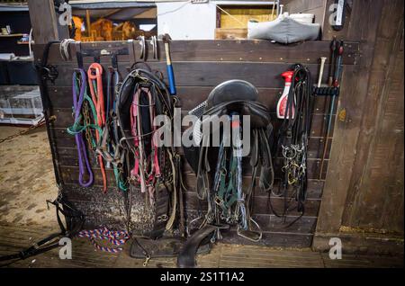 Akureiry, Islande. 15 juillet 2023. Plusieurs accoutrements de cavalerie sont vus accrochés à un mur de bois d'une écurie appartenant à un centre d'élevage et d'entraînement situé près du village d'Akureiry. Le cheval islandais représente une race distinctive originaire d'Islande, connue pour son endurance et sa polyvalence. De taille petite à moyenne, elles sont robustes et conformes aux longs manes. Bien adaptés aux conditions climatiques difficiles de leur pays natal, ils sont célèbres pour leurs deux cornemuses uniques, le «tÃ¶LT» et le «flokk», qui les distinguent des autres races. Leur tempérament tranquille Banque D'Images