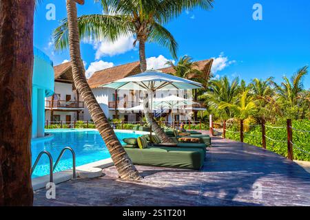 Luxury Tropical Resort Poolside avec palmiers et chaises longues vertes, Isla Holbox, Mexique Banque D'Images