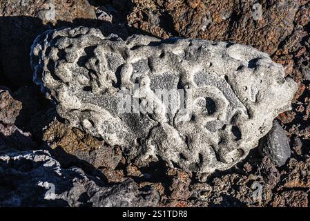 2016, Lanzarote, ESP, Espagne, Îles Canaries, îles Canaries, Océan Atlantique, Lanzarote, réserve de biosphère, volcan, volcanisme, île volcanique, île Banque D'Images