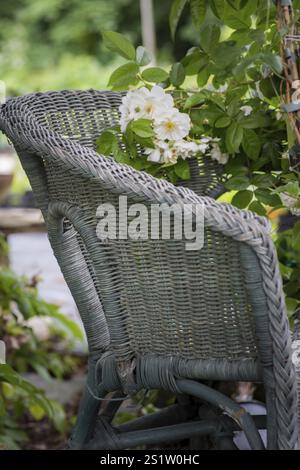 Belle décoration dans le jardin d'été du pays Banque D'Images