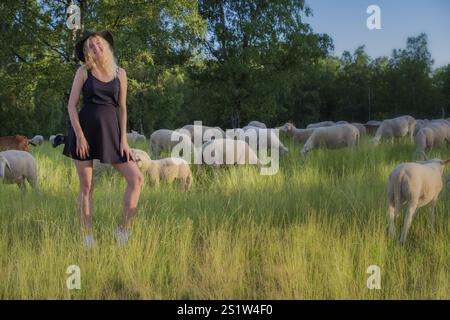 Jeune femme blonde dans la nature avec des moutons en été avec robe noire et chapeau noir. Portrait unique dans la nature. Jeune femme blonde devant des moutons en n Banque D'Images