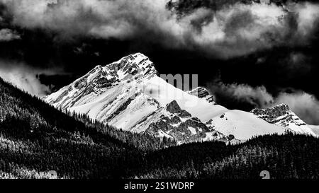 Montagnes Rocheuses canadiennes enneigées, en noir et blanc, à Banff, Alberta, Canada Banque D'Images