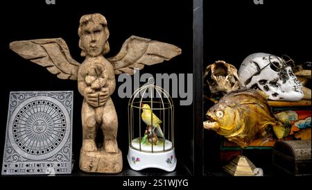 Los Angeles, Californie, États-Unis. 04 janvier 2025. L'exposition Odities & Curiosities fait son premier arrêt en 2025 au Los Angeles Convention Center. L'expo est un emporium itinérant de l'étrange et macabre comprenant taxidermie, horreur et objets gothiques, souvenirs funéraires, œuvres d'art originales, animaux en formaldéhyde, crânes, os et similaires. (Crédit image : © Brian Cahn/ZUMA Press Wire) USAGE ÉDITORIAL SEULEMENT! Non destiné à UN USAGE commercial ! Banque D'Images