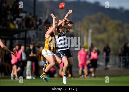 LAVINGTON, NOUVELLE-GALLES DU SUD, AUSTRALIE. 22 SEPTEMBRE 2024. Une bataille à trois pour prendre la marque pour le football lors des pigeons de Yarrawonga vs Wangaratta Rovers, O. Banque D'Images