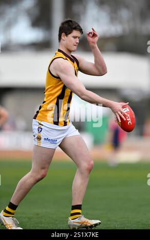 LAVINGTON, NOUVELLE-GALLES DU SUD, AUSTRALIE. 22 SEPTEMBRE 2024. Yarrawonga pigeons vs Wangaratta Rovers dans la Ovens & Murray Football Netball League à Lavington Sports Banque D'Images