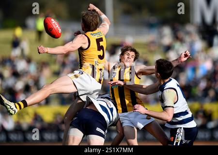 LAVINGTON, NOUVELLE-GALLES DU SUD, AUSTRALIE. 22 SEPTEMBRE 2024. Quatre joueurs se disputent le football lors des pigeons de Yarrawonga vs Wangaratta Rovers dans The Ovens & Murray Banque D'Images