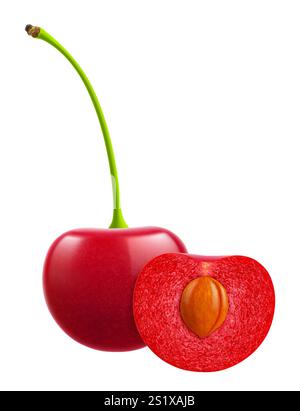 Cerises mûres isolées sur un fond blanc. Cerise rouge entière et demi cerise avec fosse, illustration vectorielle 3d réaliste. Mûres de baies, scintillantes Illustration de Vecteur