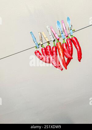 Piments rouges séchant au soleil, suspendus à une corde à linge avec des pinces à linge colorées Banque D'Images