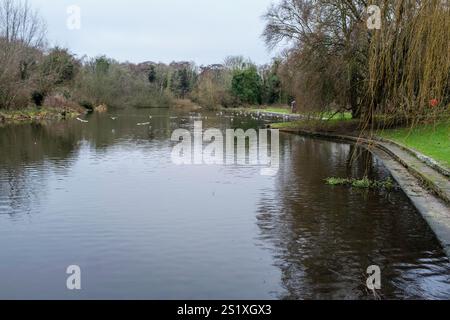 Rivière Wensum qui traverse Wensum Park, Norwich, Royaume-Uni. Banque D'Images