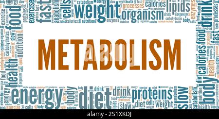 Conception conceptuelle de nuage de mots de métabolisme isolé sur fond blanc. Illustration de Vecteur