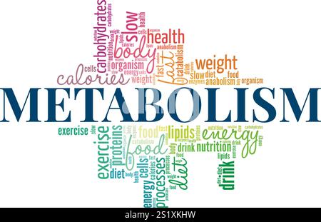 Conception conceptuelle de nuage de mots de métabolisme isolé sur fond blanc. Illustration de Vecteur