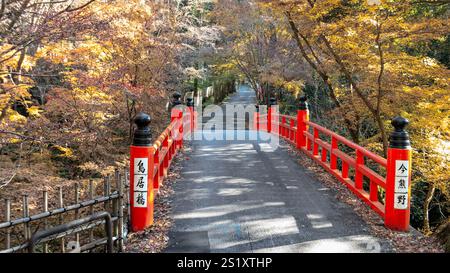 Un pont rouge pittoresque à Imakumano Kannon-ji entouré d'un feuillage d'automne vibrant. Le pilier en pierre avec des inscriptions japonaises ajoute un signif culturel Banque D'Images