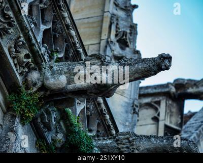 Margny-les-Compiègne est une belle ville en France. Ville médiévale, anciennes cathédrales gothiques. Monuments historiques. Banque D'Images