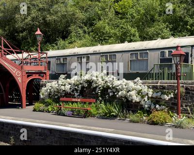Une rose blanche orne le quai de la gare de Goathland, North York Moors, Angleterre Banque D'Images