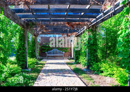 Une passerelle avec un banc et des vignes poussant sur les murs. Le banc est vide. La passerelle est bordée de vignes vertes et dispose d'un banc sur lequel les gens peuvent s'asseoir Banque D'Images