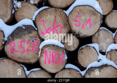 Pile de bois dans une forêt en hiver, sentier Märzenbecher, entre Reblin et Valbert, Meinerzhagen, Nordhelle, Parc naturel de montagne Ebbe, Sauerland, Nord RH Banque D'Images