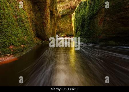 Chaire du diable, Finnich Glen, Stirlingshire, Écosse Banque D'Images