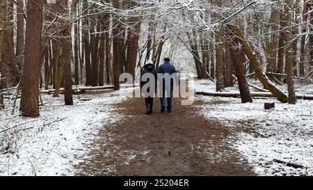 Couple mûr allant sur le chemin enneigé à la forêt de pins d'hiver. Mari senior et femme marchant à travers le sentier dans la forêt de conifères. Ancienne paire de Banque D'Images