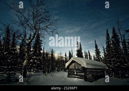 Une cabane en bois enneigée dans une forêt dense pendant l'hiver, entourée de grands pins sous un ciel nuageux. Banque D'Images