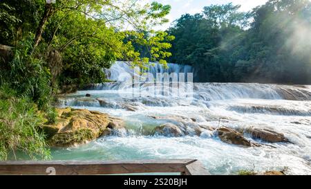 Landsape d'Agua Azul avec cascades dans la forêt tropicale de Palenque au Mexique. Banque D'Images