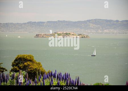 Voilier près de l'île d'Alcatraz avec une végétation luxuriante et des collines en arrière-plan Banque D'Images