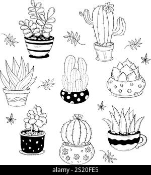 Collection de cactus de plante d'intérieur. Illustration vectorielle. Main isolée dessine des plantes tropicales d'intérieur dans des pots Illustration de Vecteur