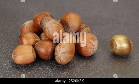 Golden nut concept - se démarquer de la foule et être la noix d'or parmi les grandes noix Banque D'Images