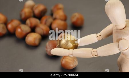 Trouvez la noix d'or ou la pépite parmi les noix creuses - avec un fond flou Banque D'Images