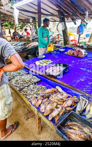 Étal de marché aux poissons de plage de route vendant du poisson fraîchement pêché, du crabe, du homard et d'autres fruits de mer, Galle, Province du Sud, Sri Lanka Banque D'Images