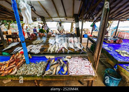 Étal de marché aux poissons de plage de route vendant du poisson fraîchement pêché, du crabe, du homard et d'autres fruits de mer, Galle, Province du Sud, Sri Lanka Banque D'Images