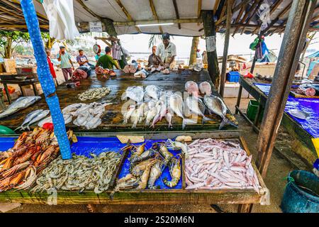 Étal de marché aux poissons de plage de route vendant du poisson fraîchement pêché, du crabe, du homard et d'autres fruits de mer, Galle, Province du Sud, Sri Lanka Banque D'Images