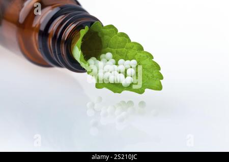 Homéopathie. Les globules comme médecine alternative. Couché sur un drap, homéopathie. Les globules comme médecine alternative. Couché sur une feuille. Autriche Banque D'Images