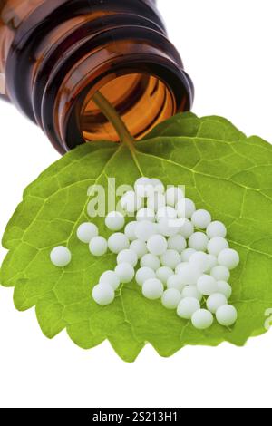 Homéopathie. Les globules comme médecine alternative. Couché sur un drap, homéopathie. Les globules comme médecine alternative. Couché sur une feuille. Autriche Banque D'Images