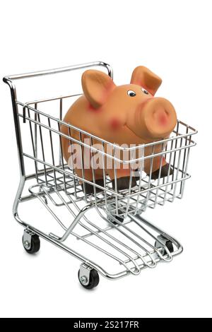 Une tirelire dans un chariot de shopping, photo symbolique pour le shopping, l'inflation et l'économie Banque D'Images