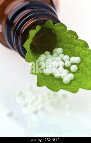 Homéopathie. Les globules comme médecine alternative. Couché sur un drap, homéopathie. Les globules comme médecine alternative. Couché sur une feuille. Autriche Banque D'Images
