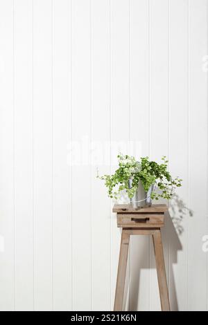 Stand de fleurs - tabouret - bois blanc - murs blancs Banque D'Images