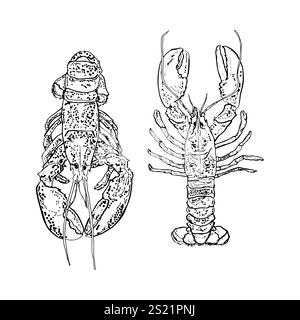 Un art de ligne homard élégant et élégant. Parfait pour une utilisation dans les logos, les marques, les menus, les emballages et les designs liés aux fruits de mer. Idéal pour restaurant de fruits de mer Illustration de Vecteur