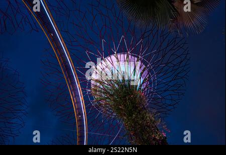 Jardins verticaux futuristes qui brillent la nuit avec une passerelle aérienne incurvée dans un magnifique jardin botanique Banque D'Images