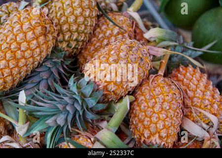 Tas d'ananas mûrs à vendre au marché étal Banque D'Images