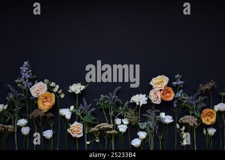 Fleurs dans les tons de blanc et d'orange affichées sur un fond noir Banque D'Images