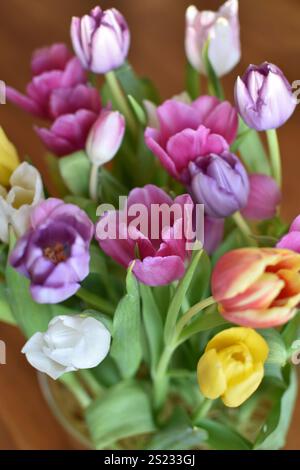 Des tulipes éclatantes de différentes couleurs illuminent un cadre intérieur Banque D'Images